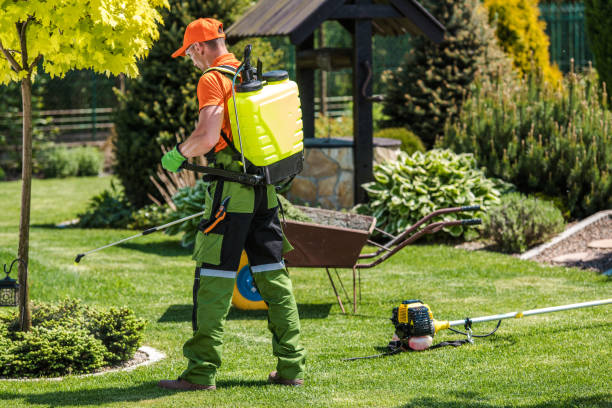 Best Outdoor Pest Control  in Bath, MI